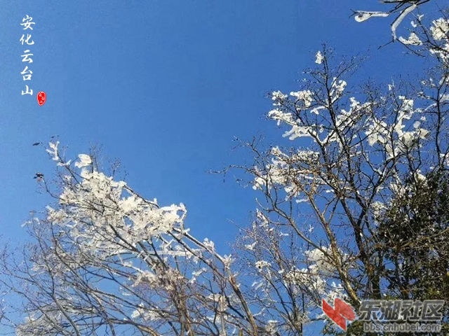 1.webp_副本.jpg
