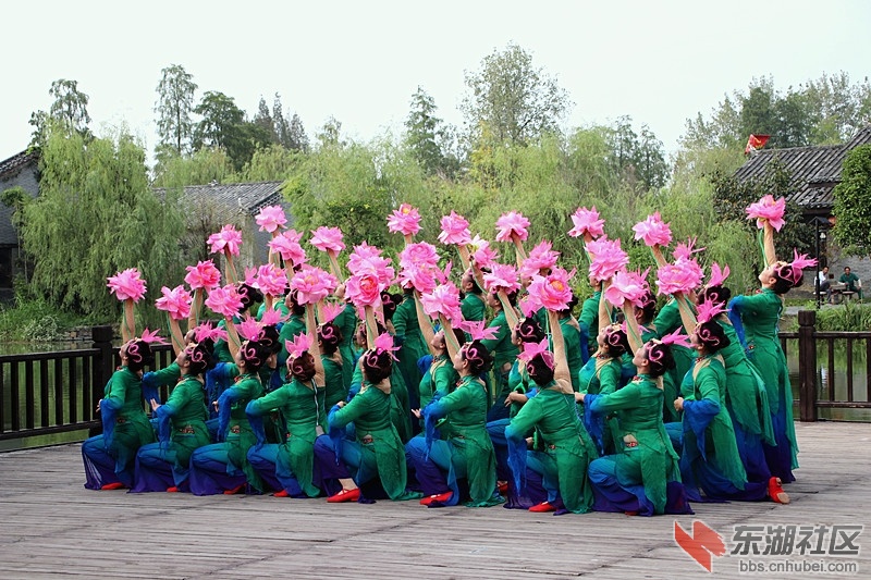 133034vnk4vvpnv3rr91p1.jpg