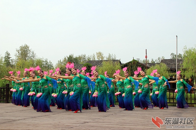 132733t687cd718bcsjl6s.jpg
