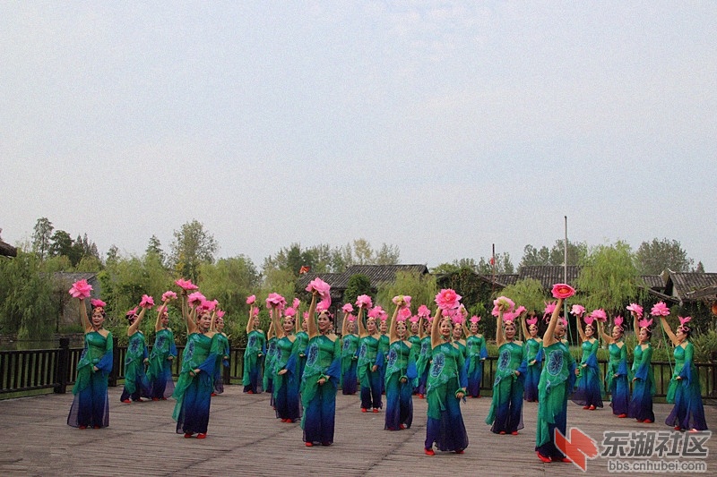 133012in0nzza2pdvnlng1.jpg