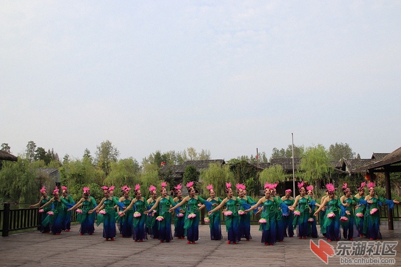 133023dyab0bujol61u3bd.jpg