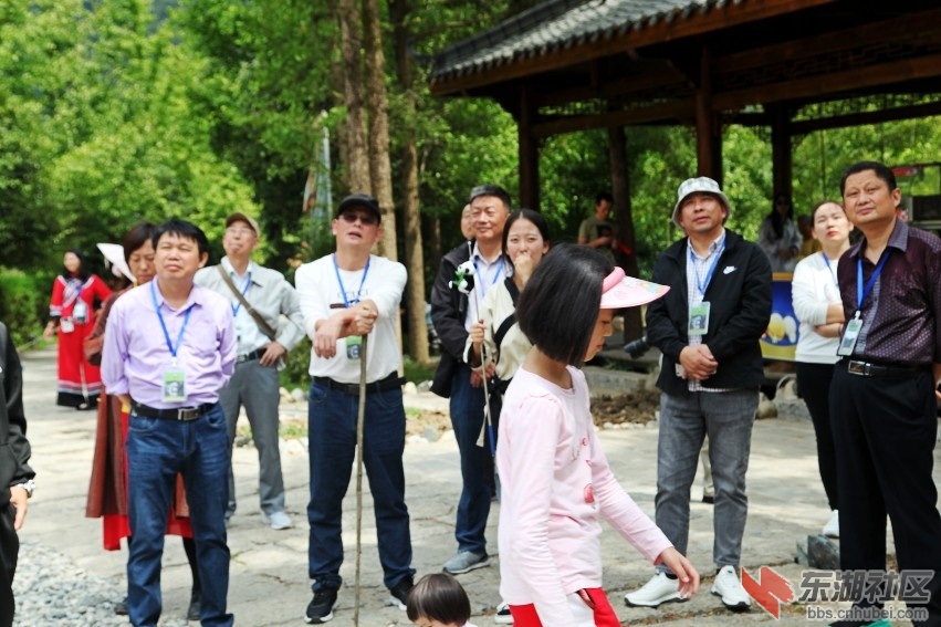 IMG_6990_conew1.jpg
