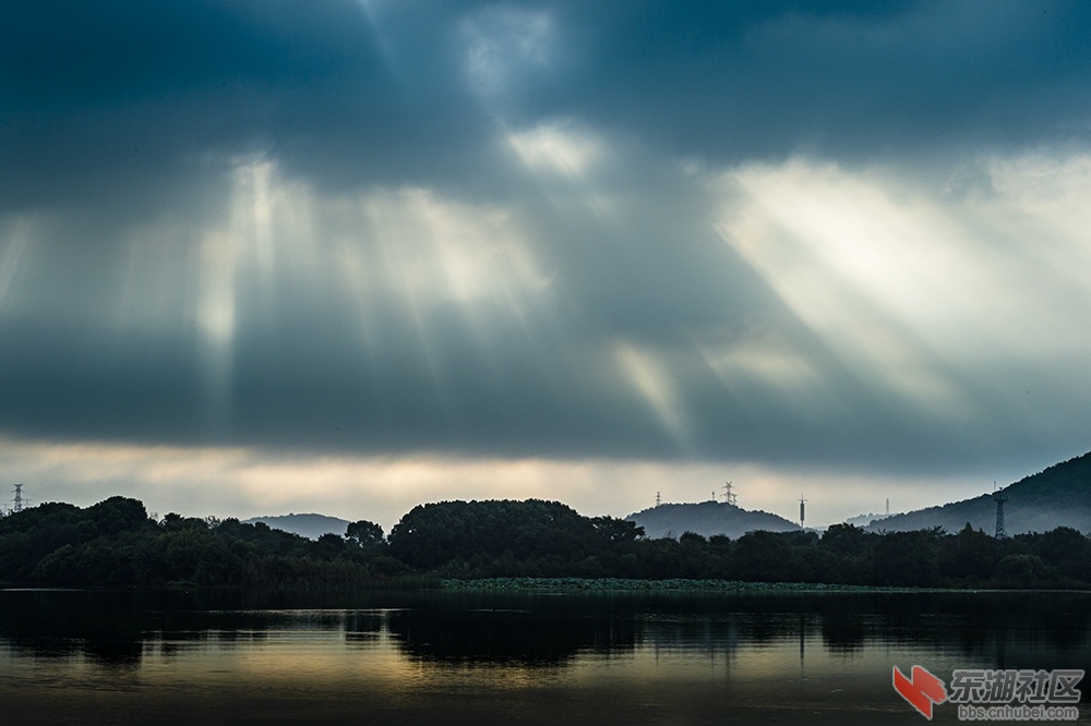 1..武汉东湖雨后魅影曾院平摄影.jpg