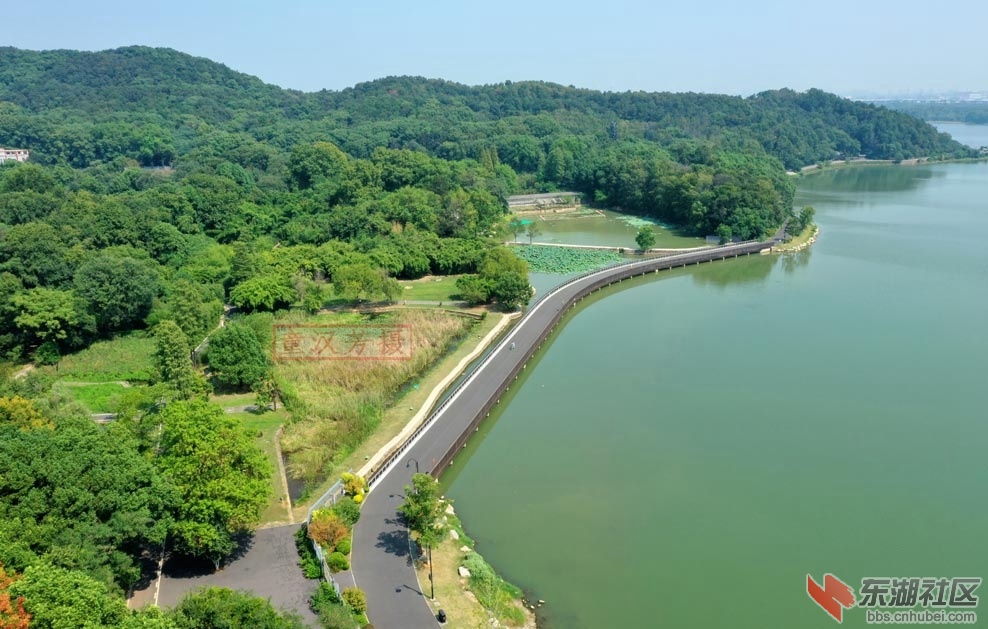 DJI_0382 - 副本.JPG