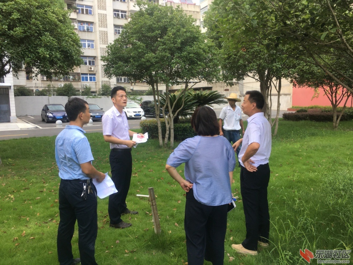 图片9.jpg