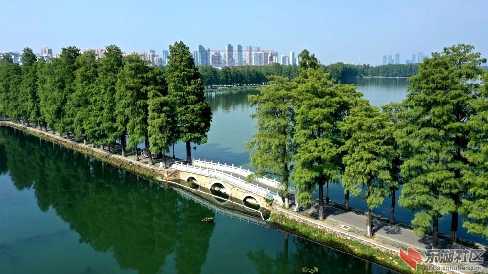 DJI_0525 - 副本.JPG