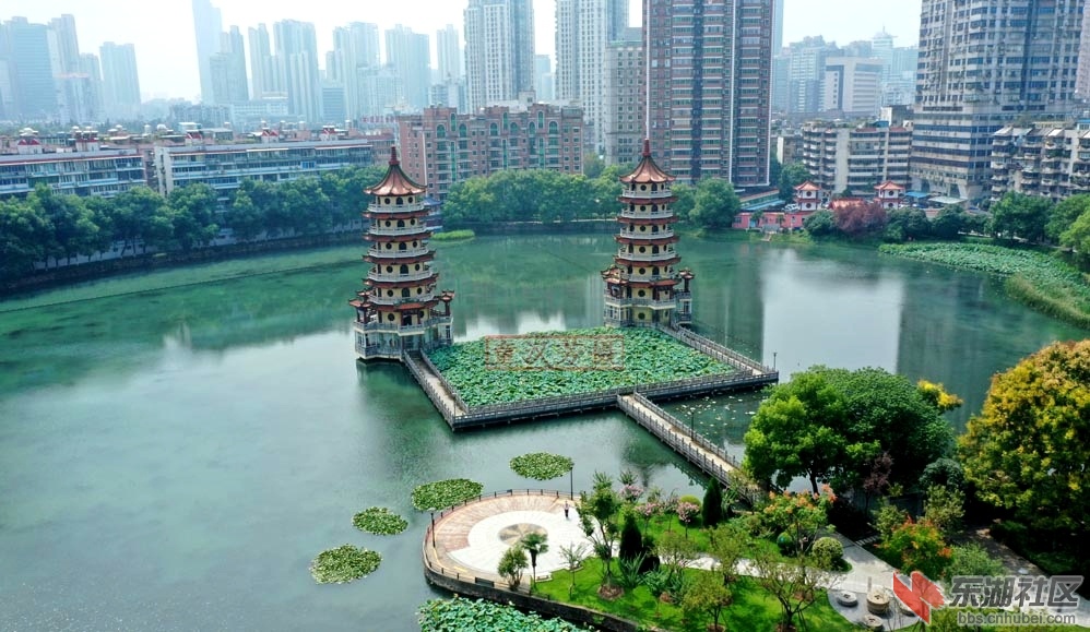 DJI_0481 - 副本.JPG