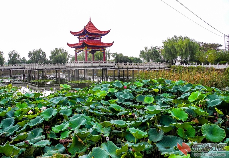 3   DSCN1023_副本.jpg