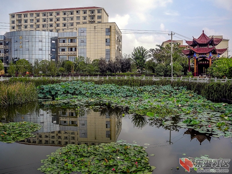 4    DSCN1036_副本.jpg