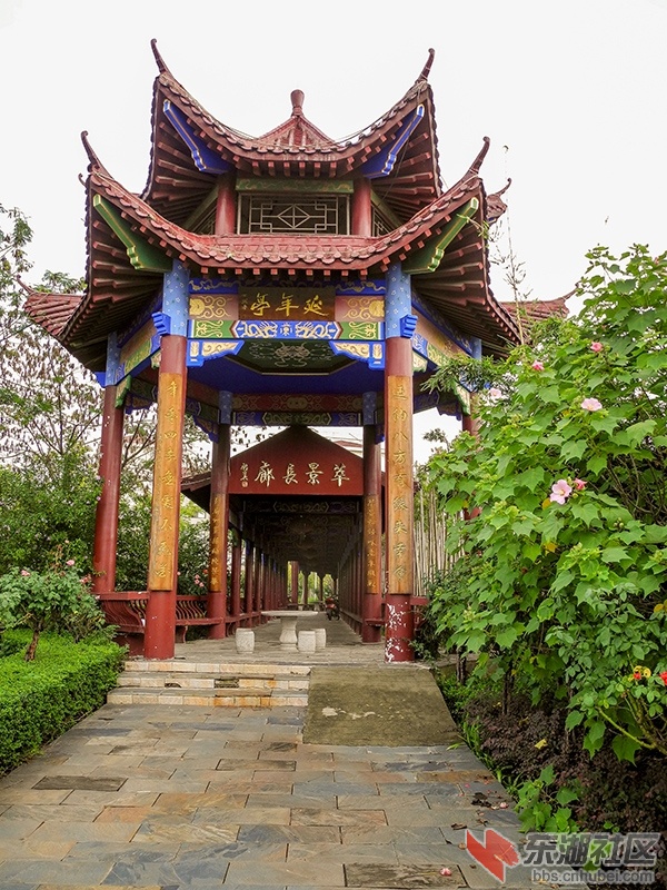 10  DSCN1026_副本.jpg