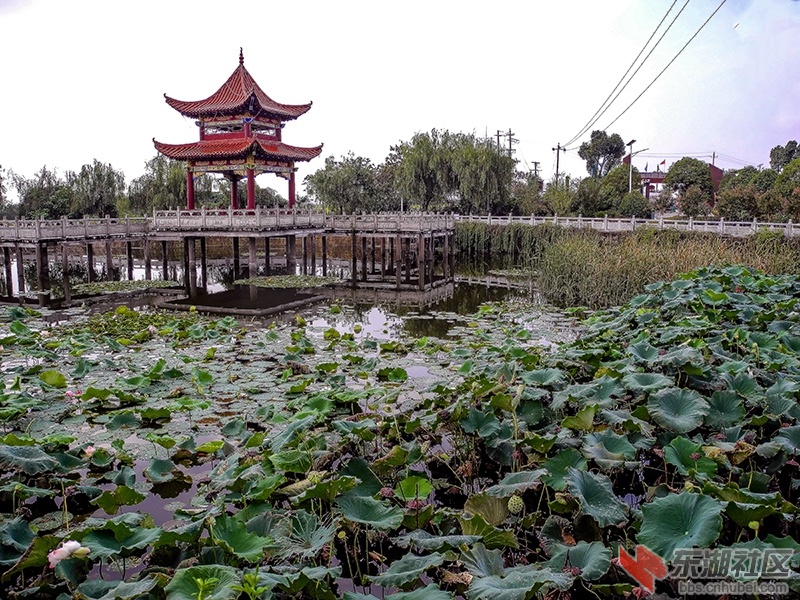 6    DSCN1024_副本.jpg