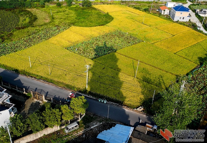 2     DSCN1069_副本.jpg