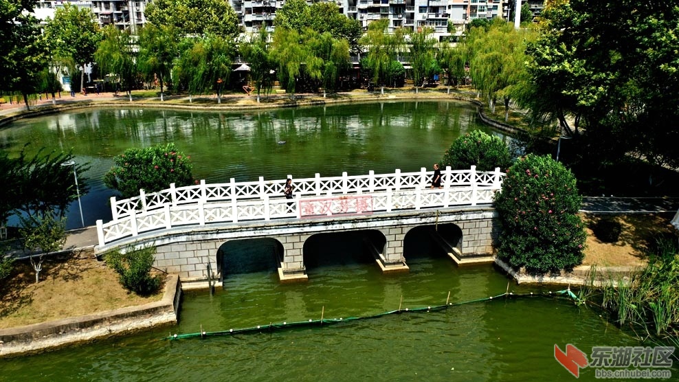 DJI_0776 - 副本.JPG