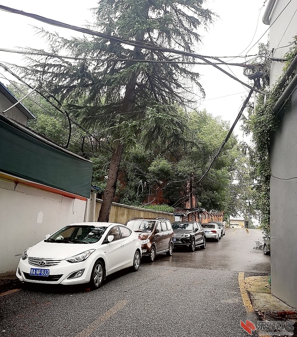 每天都停车的民主四路.jpg