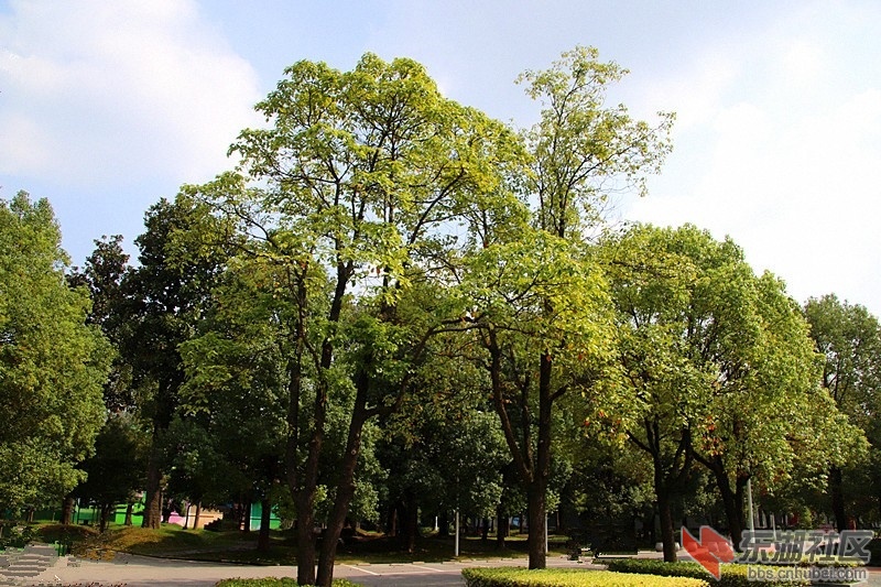 112946gzietob7xttzemfm.jpg