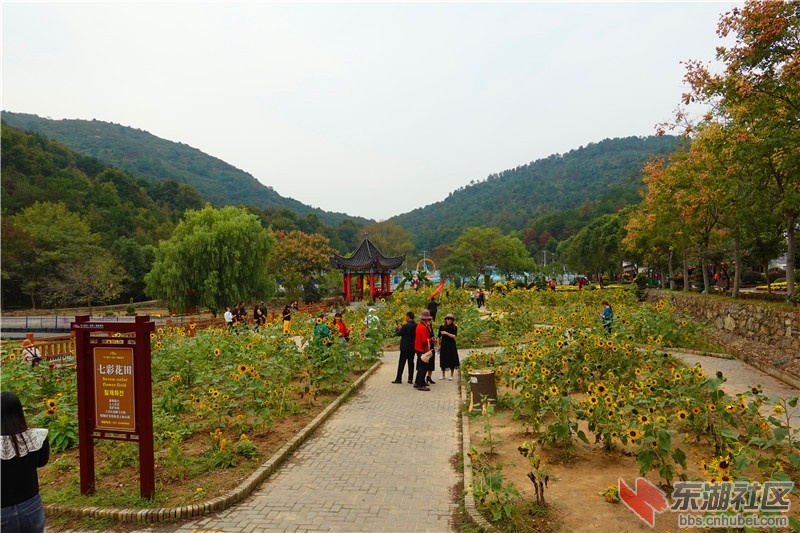 05.jpg