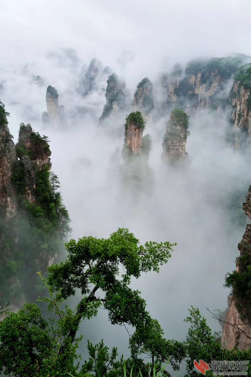 qq图片20200713182529.jpg