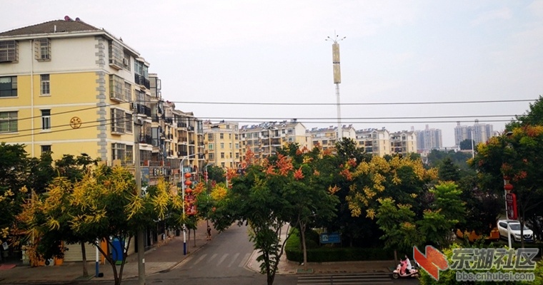 60.jpg