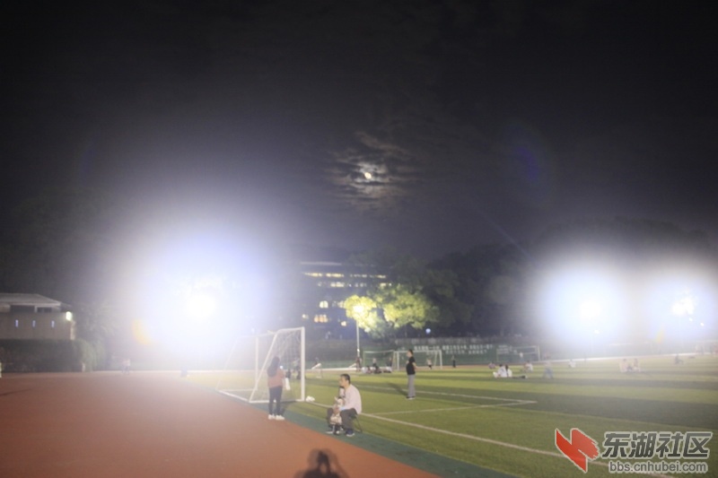 _MG_2539_调整大小.JPG