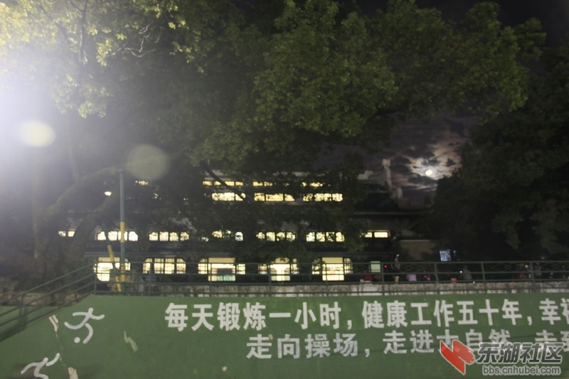 _MG_2556_调整大小.JPG