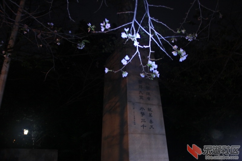 _MG_2567_调整大小.JPG
