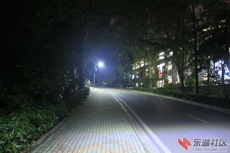 _MG_2684_调整大小.JPG