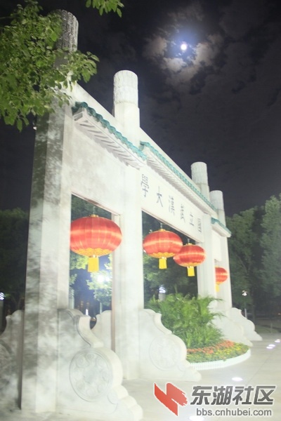 _MG_2706_调整大小.JPG