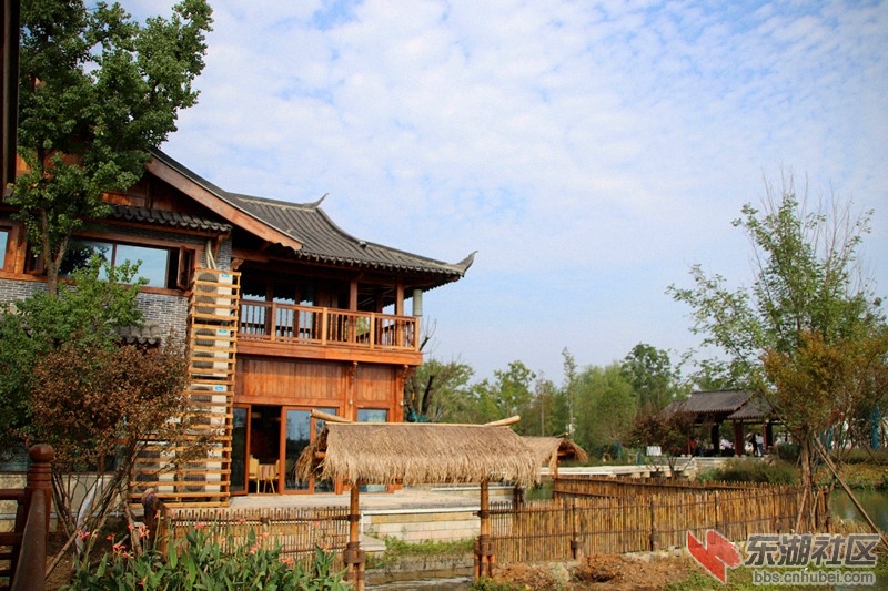 122258napipimmi6a5mwp5.jpg