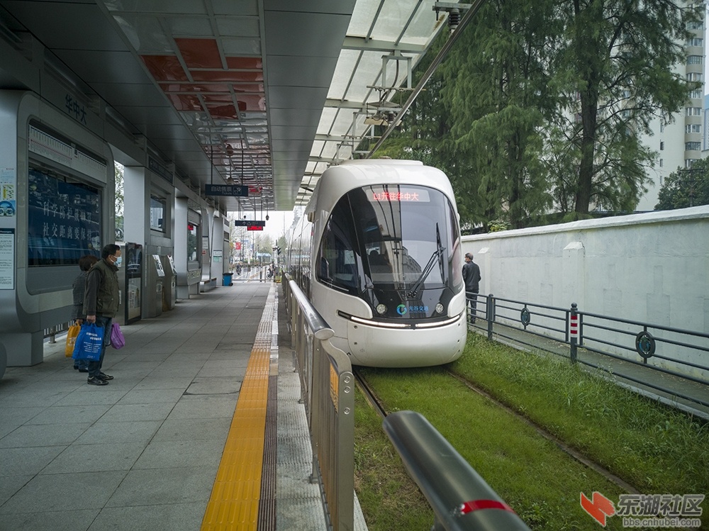 1.开心免费乘“量子号” 曾院平摄影.jpg