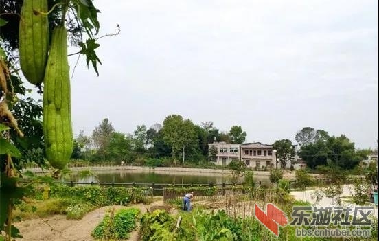 微信图片_20201006213658.jpg
