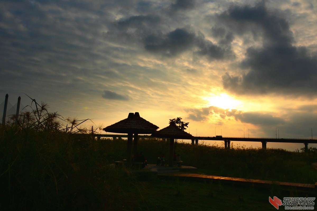 DSC_5665.jpg