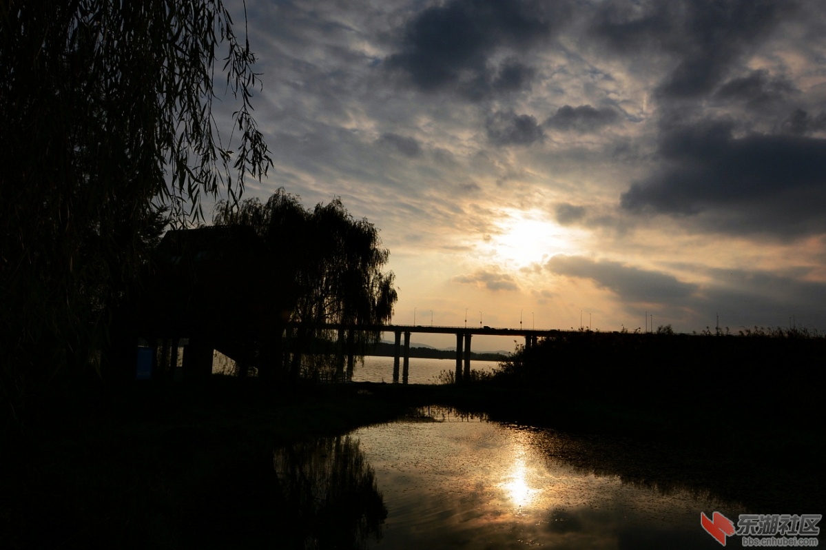 DSC_5662.jpg