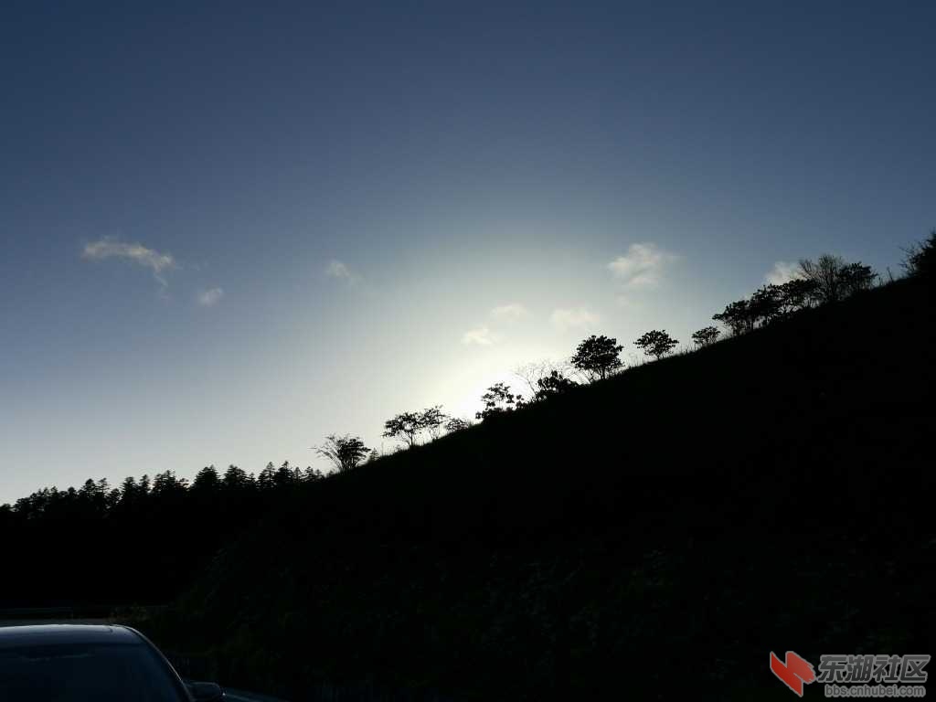 IMG_20201007_173138.jpg