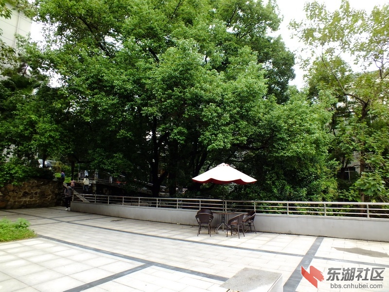 DSCF2534_调整大小.JPG
