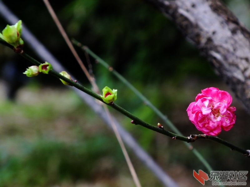 DSCF2538_调整大小.JPG