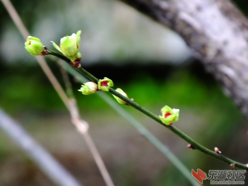 DSCF2539_调整大小.JPG