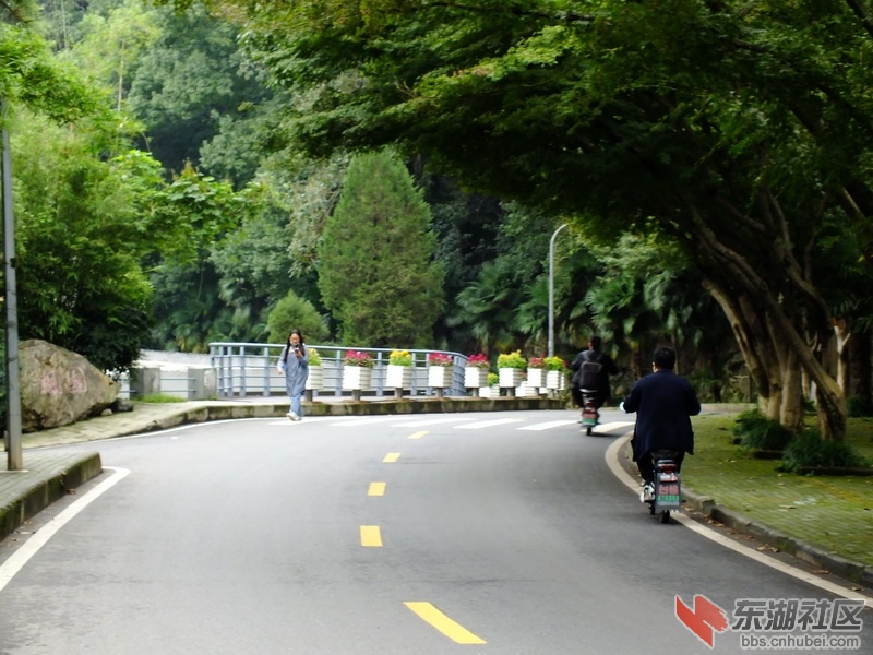 DSCF2548_调整大小.JPG