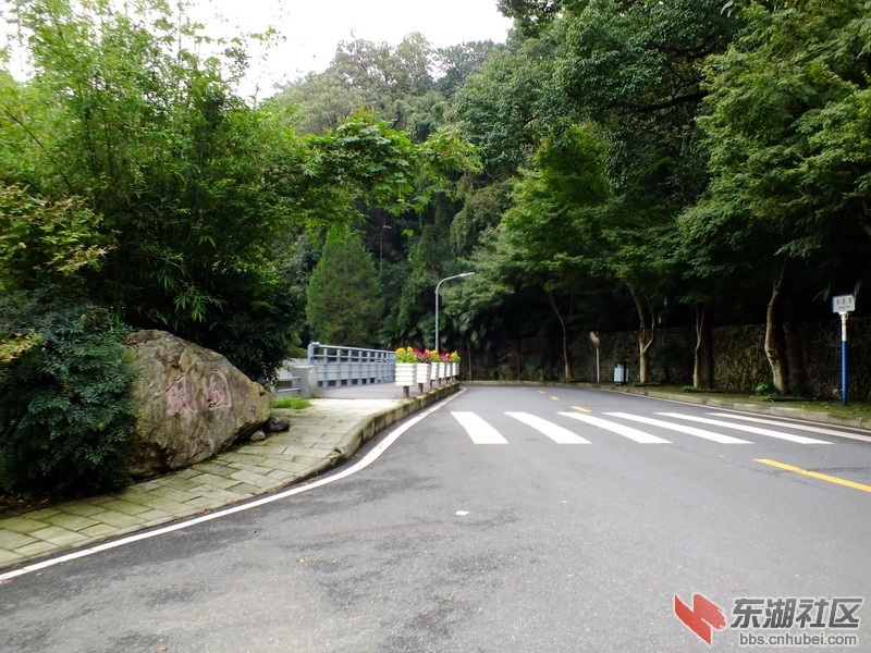 DSCF2546_调整大小.JPG