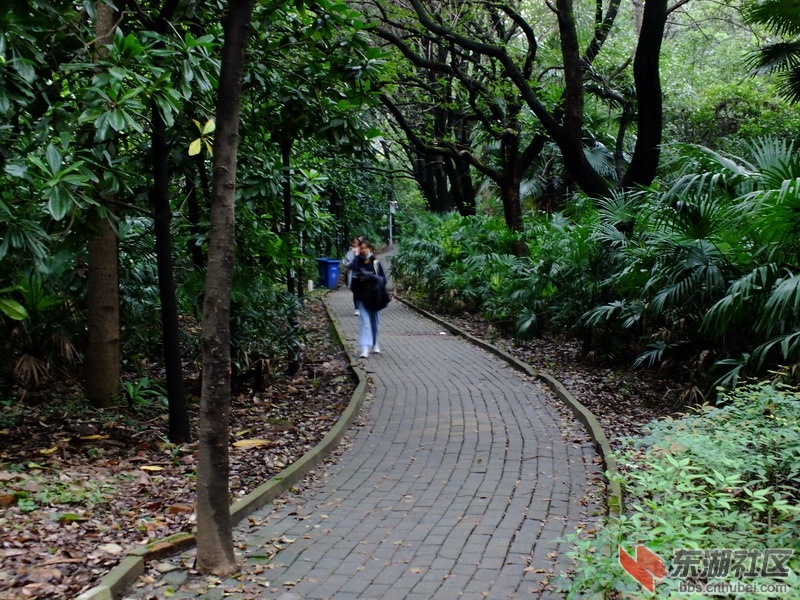 DSCF2552_调整大小.JPG