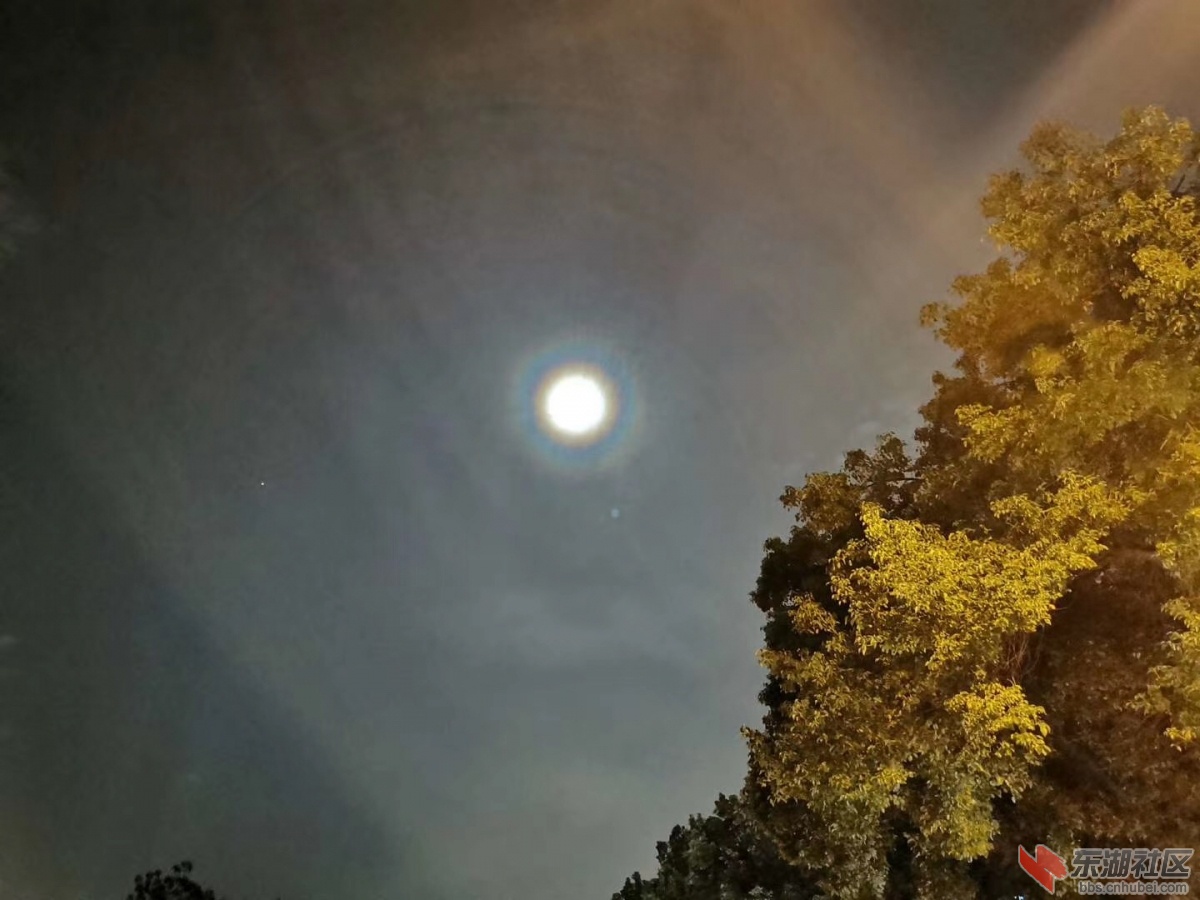 微信图片_20201009110939.jpg