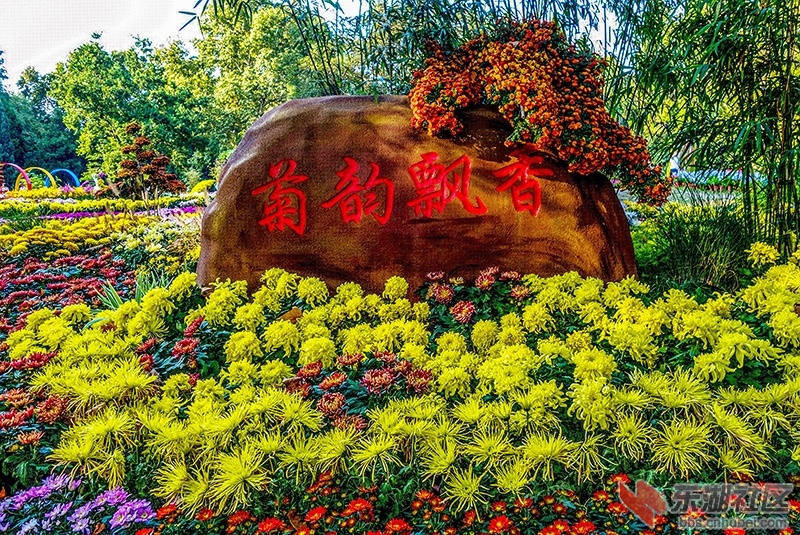 1   DSC08294_副本.jpg
