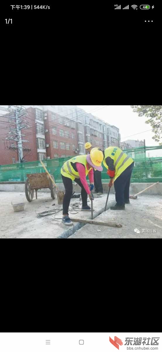 Screenshot_2020-10-23-13-39-22-152_com.ss.android.article.news.jpg