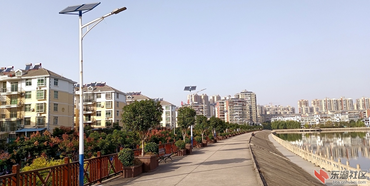 05.jpg