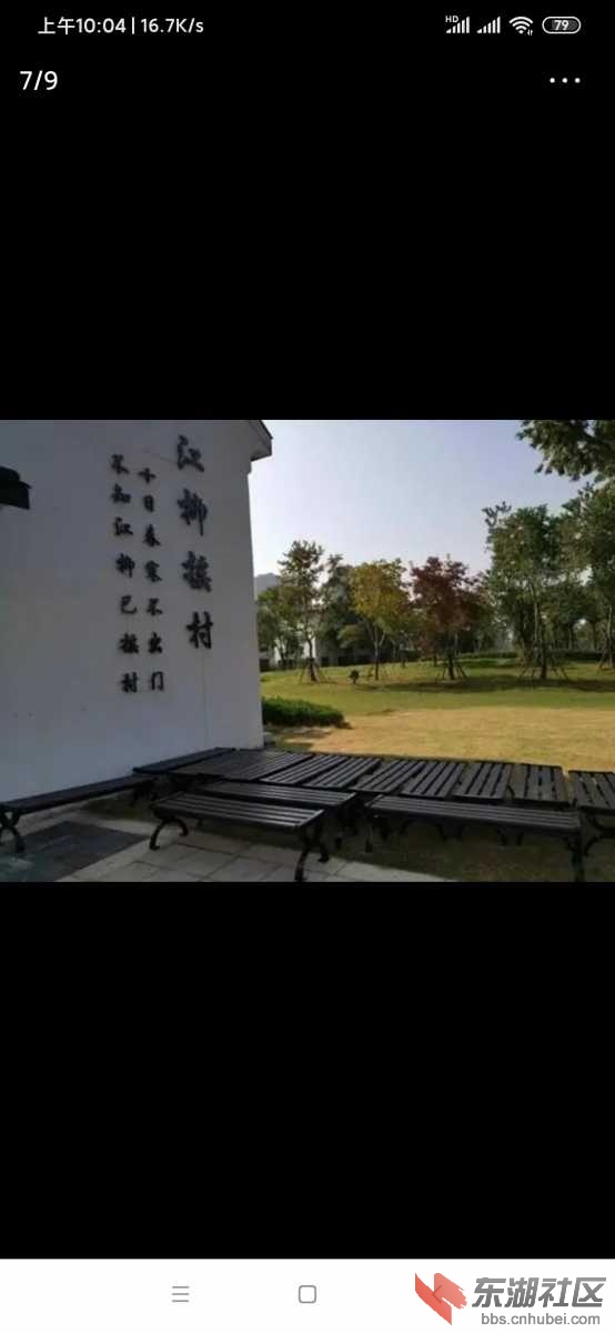Screenshot_2020-10-31-10-04-09-185_com.ss.android.article.news.jpg