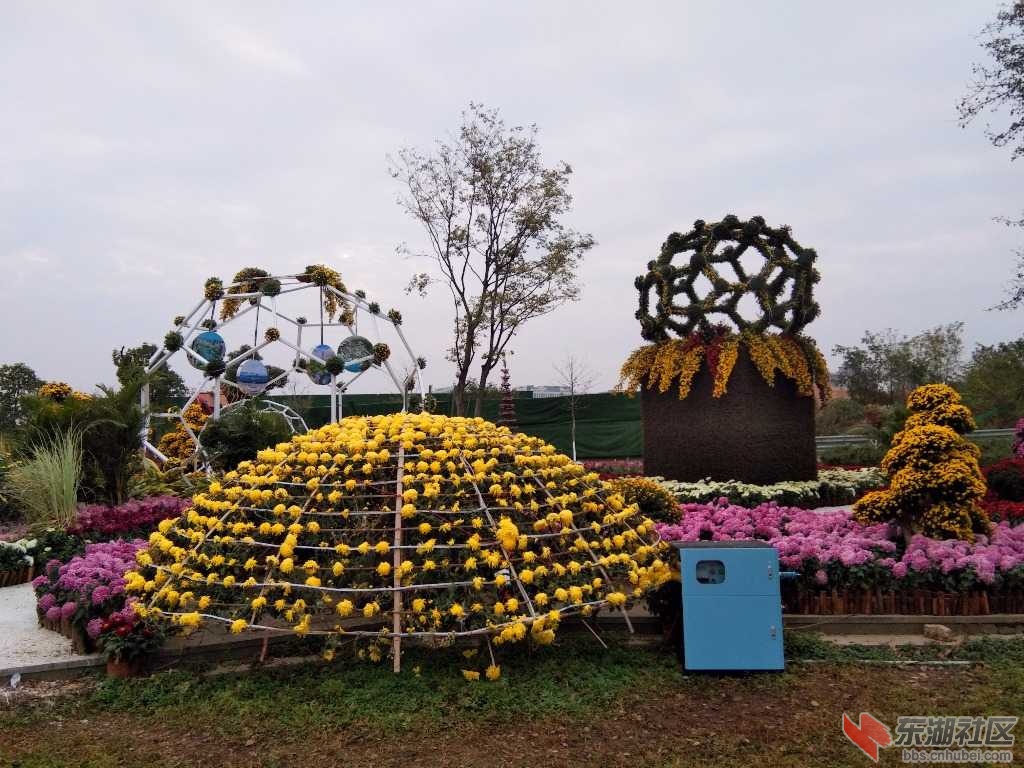 IMG_20201103_164232.jpg