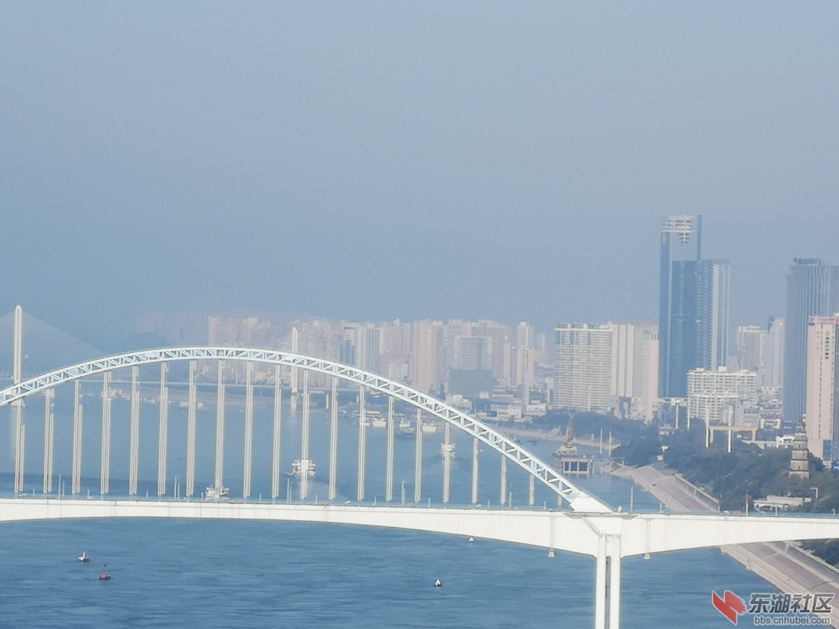 IMG_20201107_101939.jpg