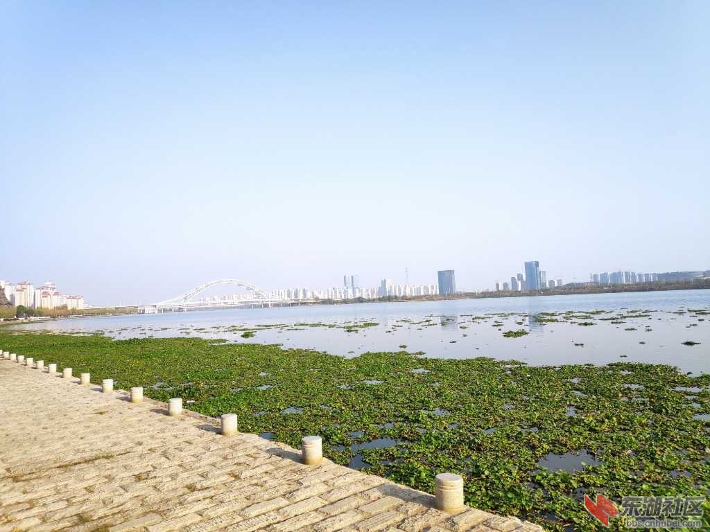 IMG_20201109_154805.jpg