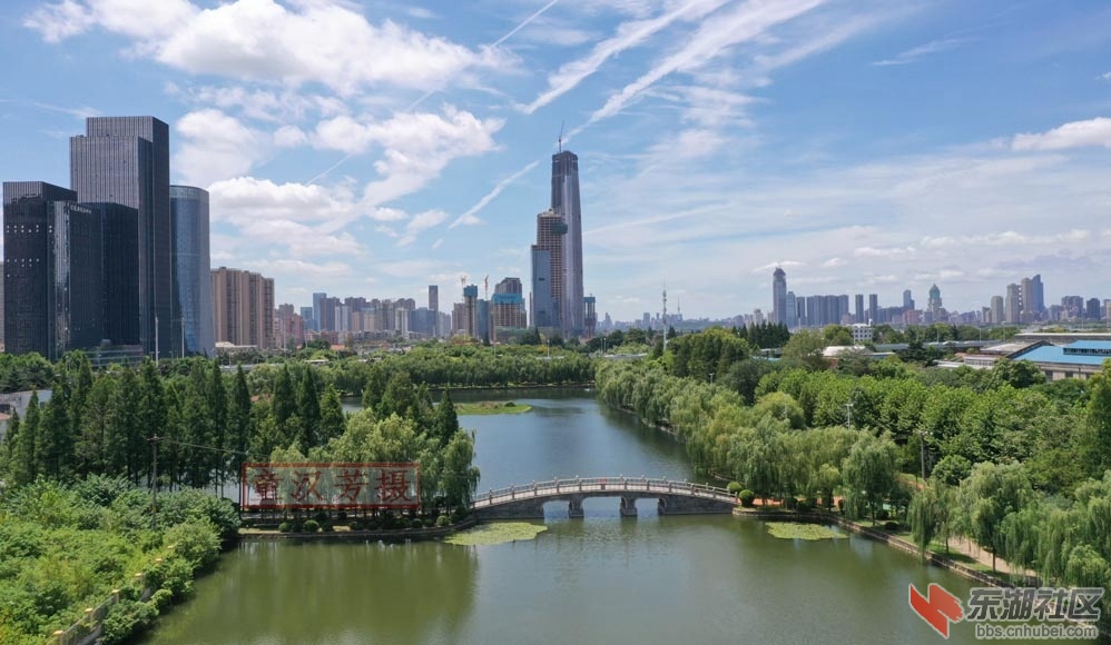 童汉芳摄 无人机看四美塘2020.8.6DJI_0344 - 副本.JPG