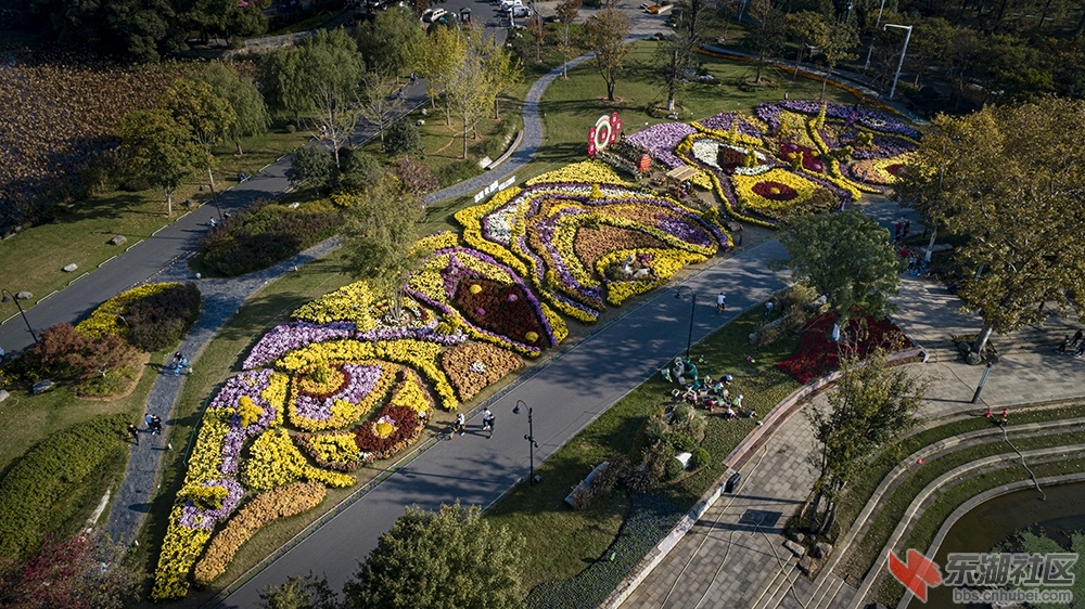 4.武汉东湖绿道菊花展 .jpg