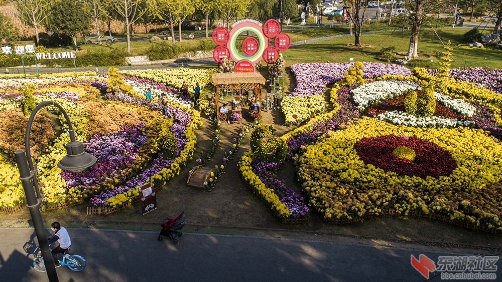 3.武汉东湖绿道菊花展 .jpg